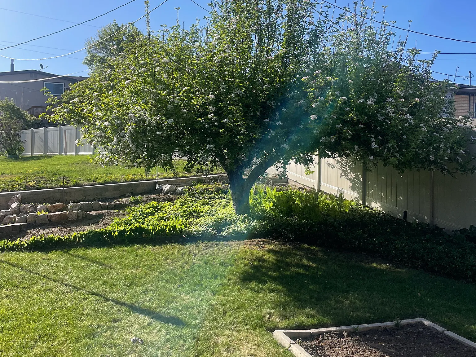 3 bed, 1.5 bath, 1600 sqft, $2,400 — Photo 4