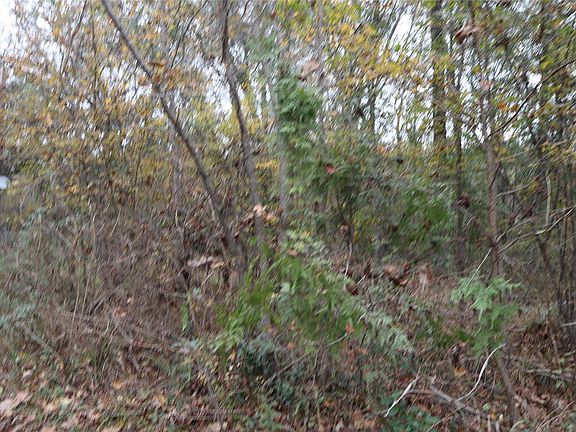 5th image of 0 E Mourning Dove Trl Lot 44