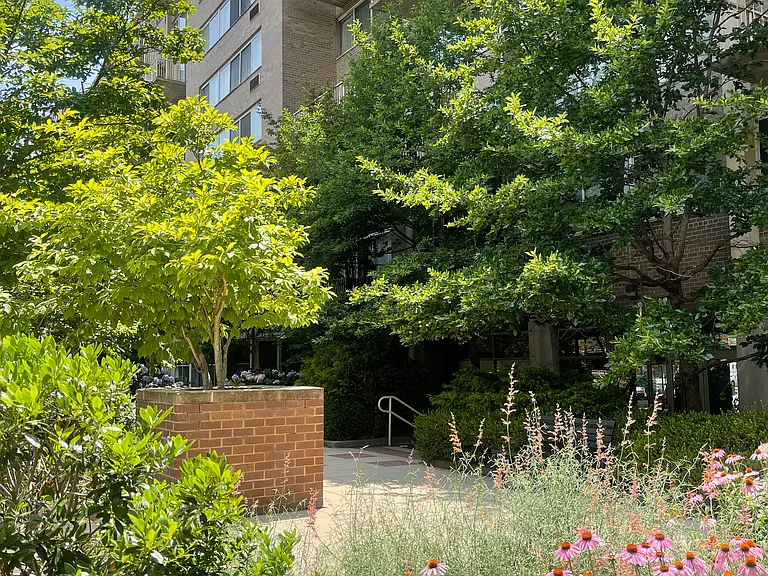 Building landscaping