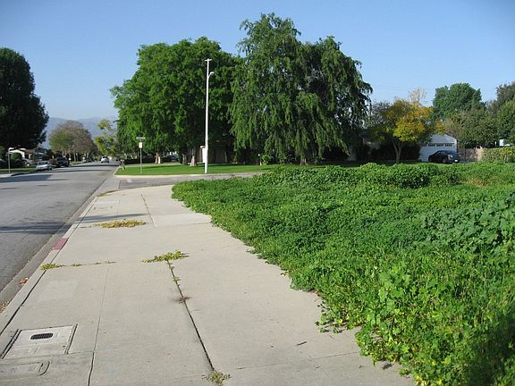 4th image of 122 N Lang Ave