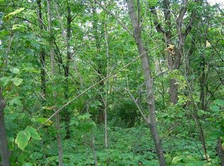 On Coveyville Rd, Phelps, WI 54554