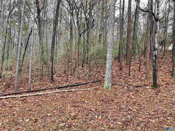 LOT 5 Greenbriar Rd, Gadsden, AL 35901