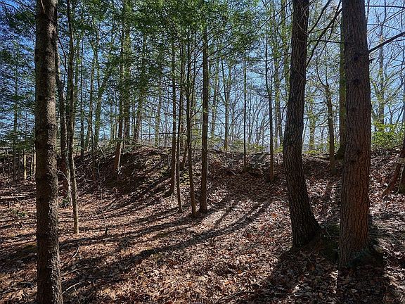 2nd image of 0 Pine Hill Rd