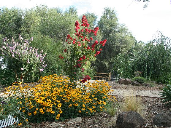 4th image of 5320 Hollow Ln