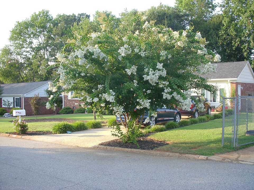 1st image of 33 Riverwood Cir