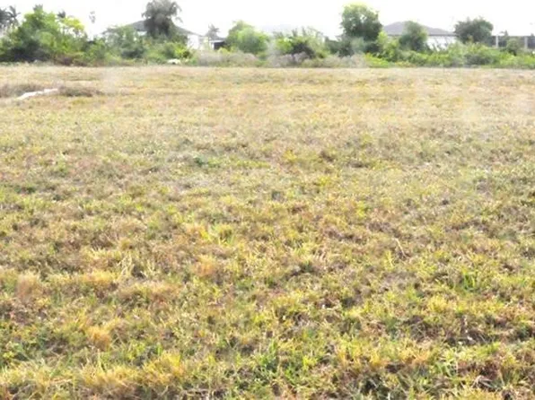 305 NW 24th Ave, Cape Coral, FL 33993