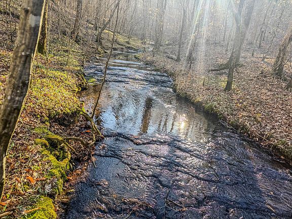 4th image of 0 Bryant Boswell Rd