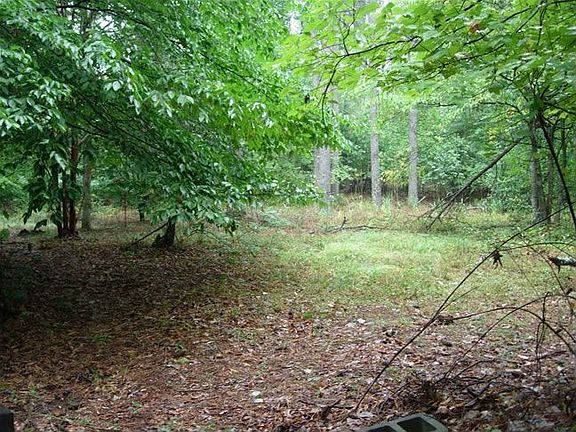 A clearing on the heavily wooded lot, behind the house