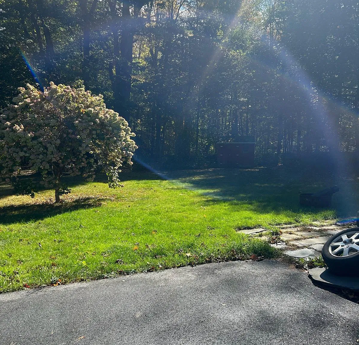 3 bed, 800 sqft, $2,600 — Photo 4