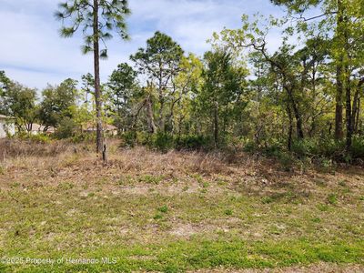 0 Liberto Rd, Brooksville, FL, 34614
