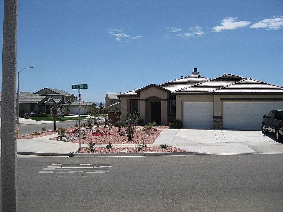 summer 2010