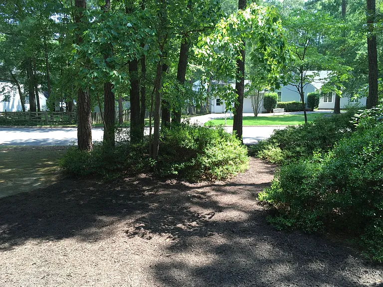 View from front porch