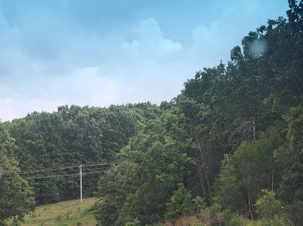 LOT 4 Basswood Dr, Mountain Home, AR 72653