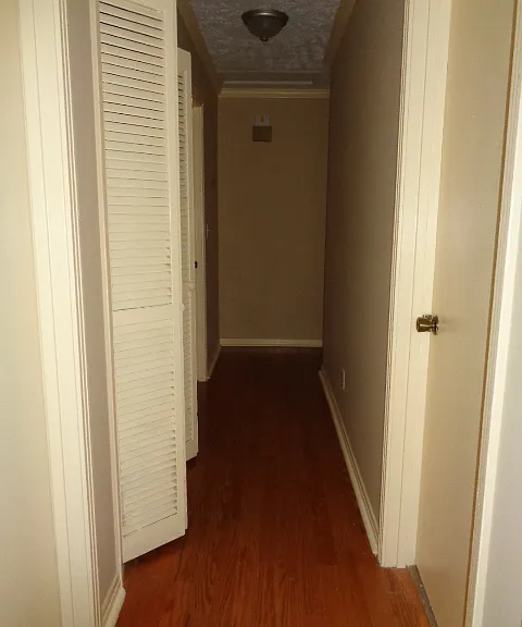 108 Crepe Myrtle Dr — Photo 18