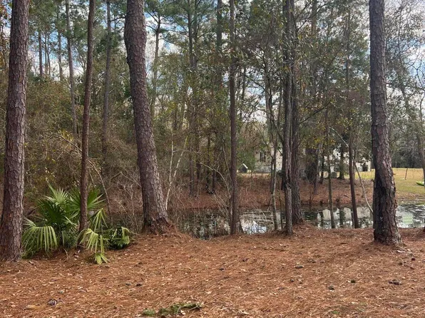 LOT 36 37 SW 162ND Terrace, Starke, FL 32091