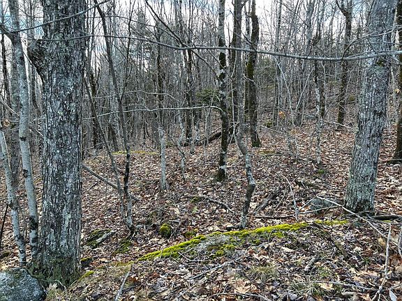 5th image of Map8Lot6 CMP