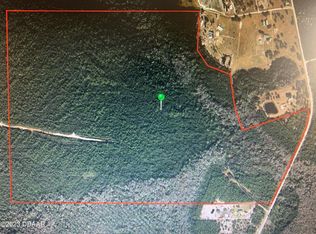 1250 Chesser Hammock Rd, Pierson, FL 32180