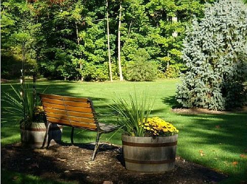 backyard2