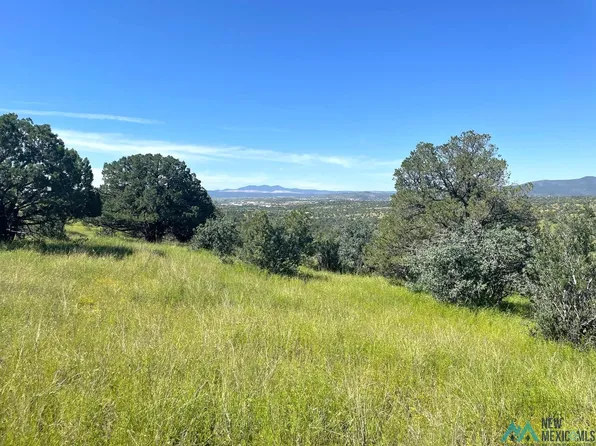 Xx Xyz Ranch Rd, Silver City, NM 88061