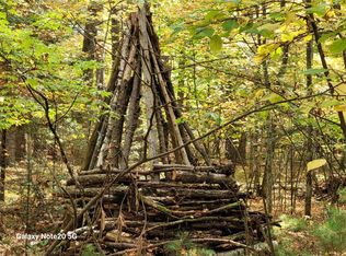 LOT 90 Eagle Pines Rd, Eagle River, WI 54521