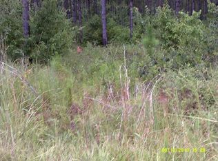 115 Gibson Rd, Climax, GA 39834