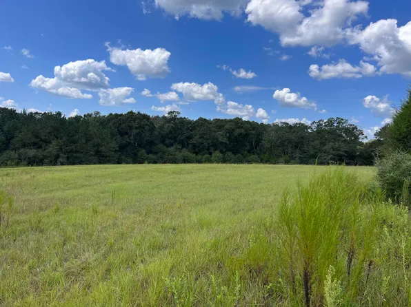 0 Mavis Carroll Rd, Clio, AL 36017