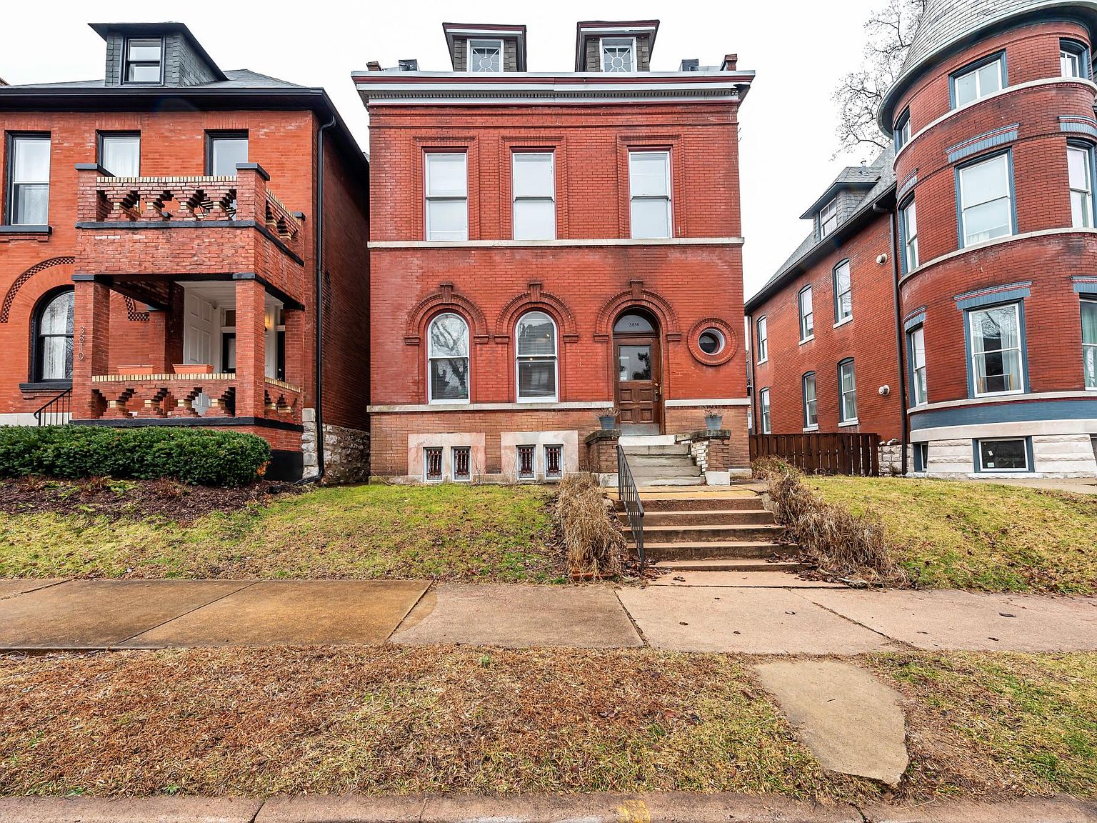 botanical☆ N. spathulata x jacquelineae: BE-3883 & BE-3894 We use this cross