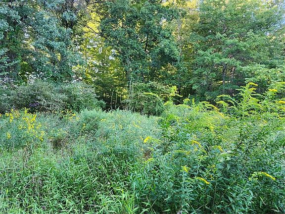 3rd image of 188 Old Stage Road