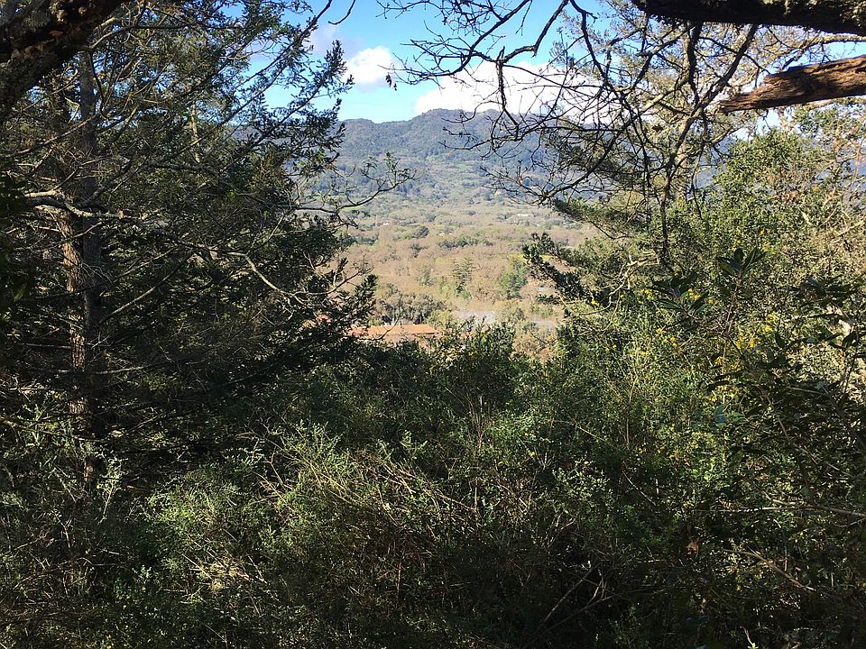 View from Richards Blvd