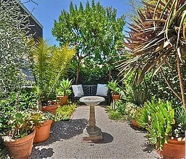 Backyard 2