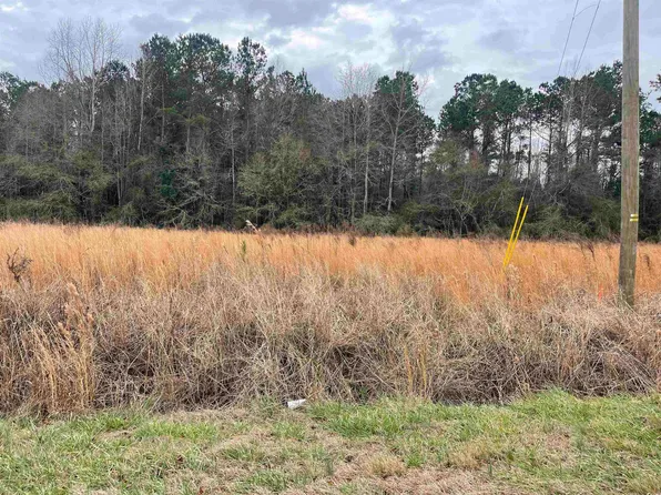 TBD Highway 917, Nichols, SC 29581