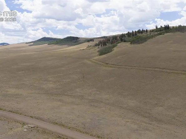 3912 County Road 53, Hartsel, CO 80449