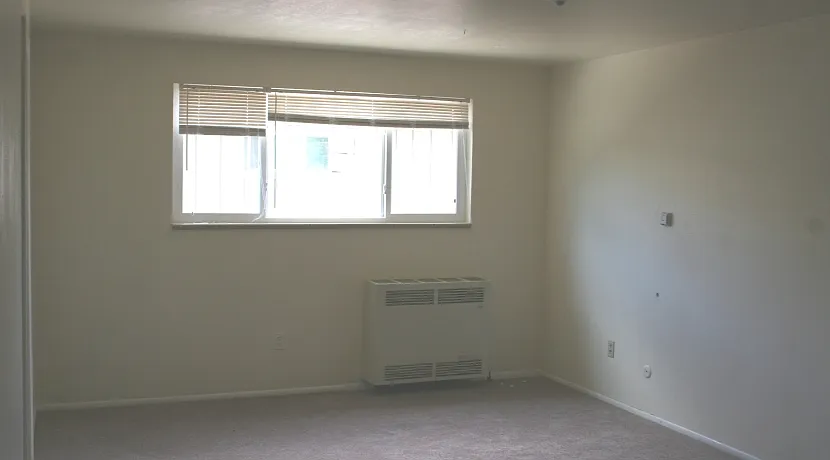 1 bed, 700 sqft, $1,425 — Photo 3