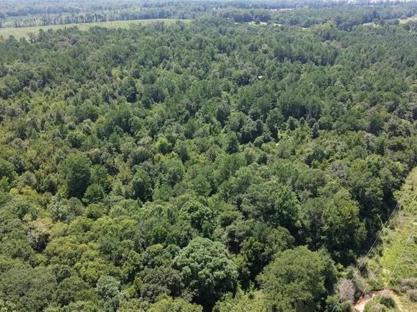 County Road 2920, Hughes Springs, TX 75656