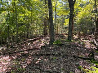 1194 Dogtown Rd, Ten Mile, TN 37880