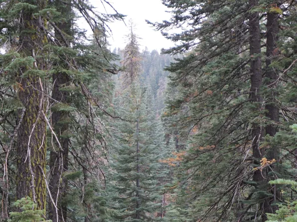 1026 Cleghorn Dr, Quincy, CA 95971