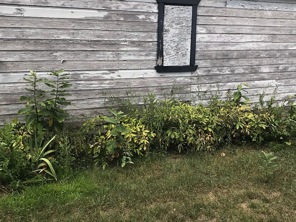 2nd image of 19614 Marx St