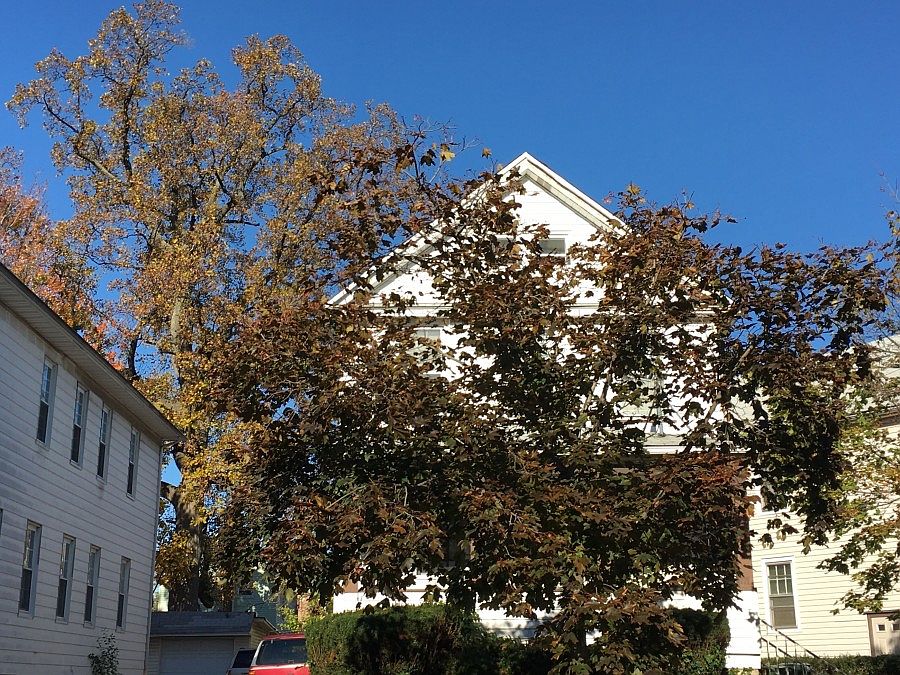 1st image of 117 E Blancke St