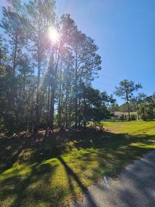 0 Florida Grackle Ct #228, Frostproof, FL, 33843