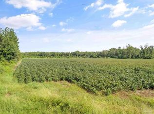 PARCEL 1 Mineral Springs Rd, Jay, FL 32565