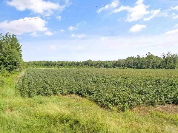 PARCEL 1 Mineral Springs Rd, Jay, FL 32565