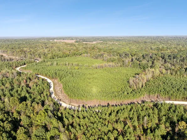 0 Cox Hollow Rd Lot 19, Dover, TN 37058