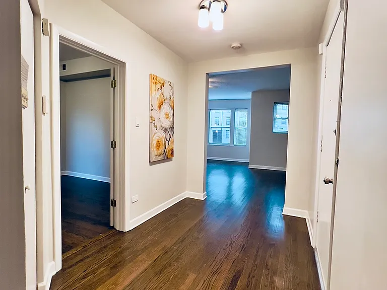 4619 S Michigan Ave #1S — Photo 11