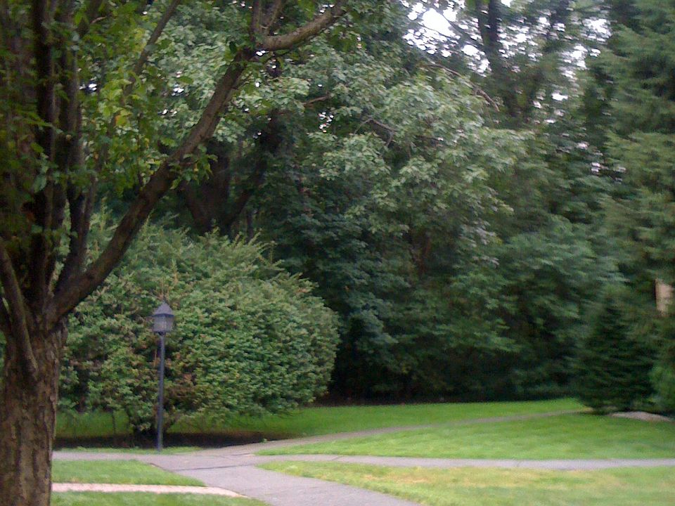 2nd image of 415 Lincoln Park E #415