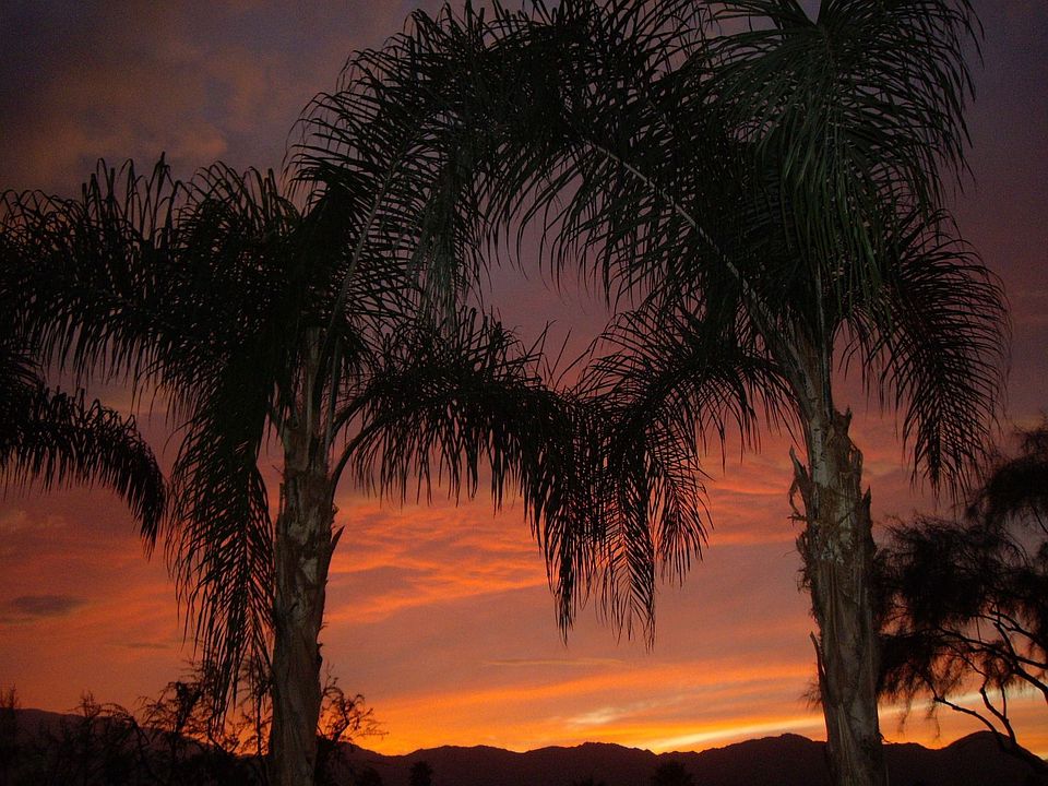 2nd image of 79991 Rancho La Quinta Dr