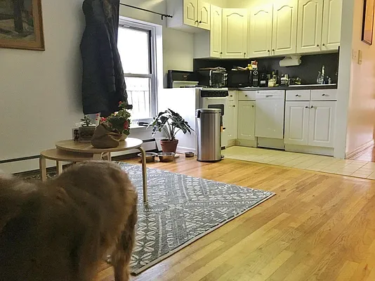 Rented by BLS Realty | media 13