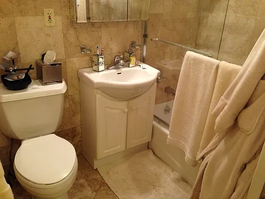 Rented by GPS Realty NYC | media 14