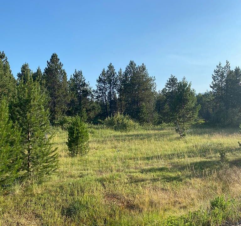 1st image of 23 Grand Fir