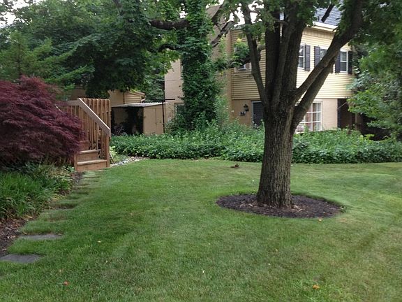 Front Yard
