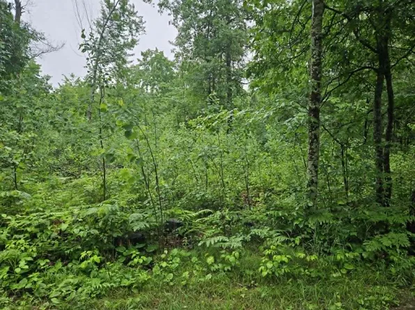 Lot 1 Hilly Lane, Spooner, WI 54801
